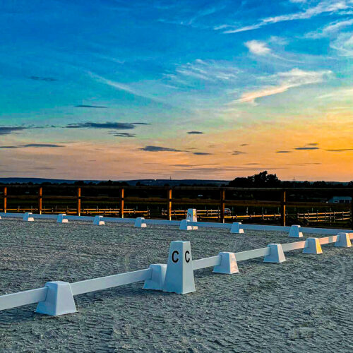 WhatsApp Image 2024-12-02 at 15.06.40 (5)