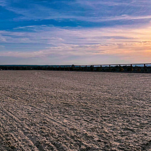 WhatsApp Image 2024-12-02 at 15.06.40 (6)