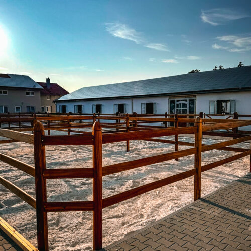 WhatsApp Image 2024-12-02 at 15.06.40 (9)