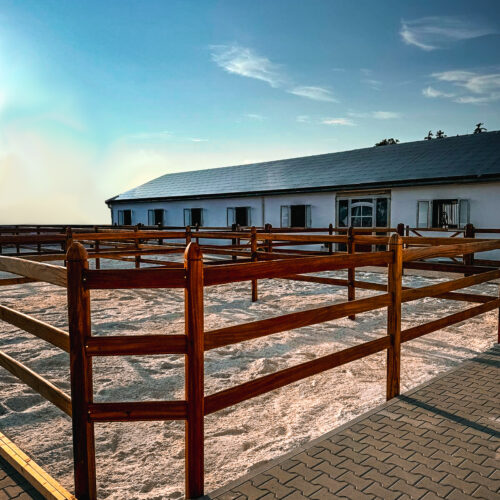 WhatsApp Image 2024-12-02 at 15.06.40 (9)-ohneHaus