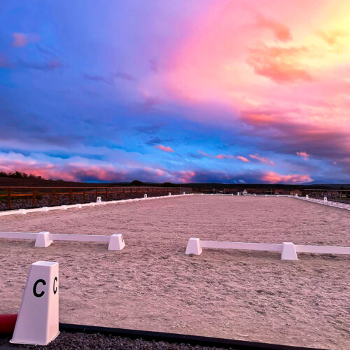 WhatsApp Image 2024-12-02 at 15.06.41 (12)