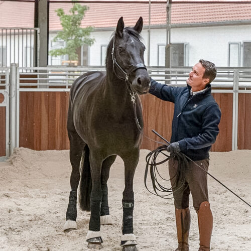 WhatsApp Image 2024-12-02 at 15.06.41 (3)