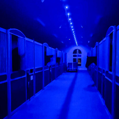 WhatsApp Image 2024-12-02 at 15.06.41 (7)